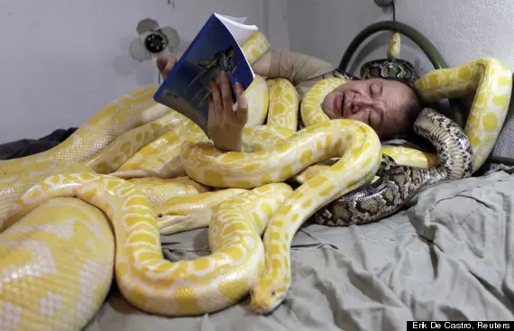 Zoo owner Emmanuel Tangco reads a book to his snakes in his bedroom in Malabon
